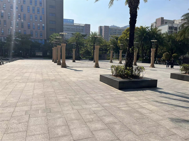 实拍图1